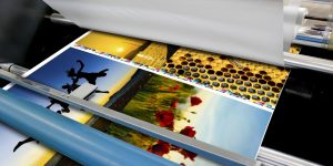 Remove Lamination From The Paper?